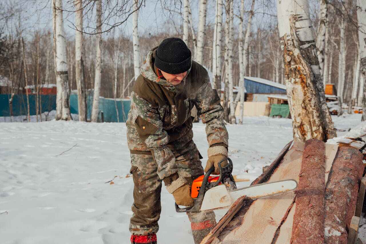 Tree Branch Trimming in North Lakes, AK